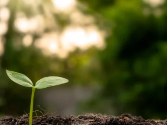 Sustainability at Label Apeel