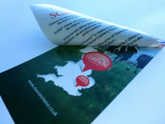 Peel and Reveal Labels